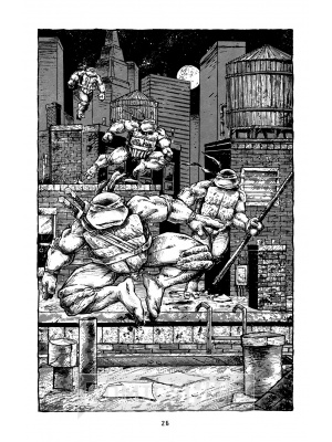 Комиксы Черепашки-Ниндзя. Фильм 1990, Illusion Studios