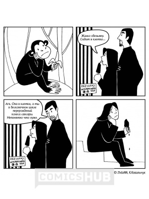 Комиксы Серые будни магов, КомФедерация